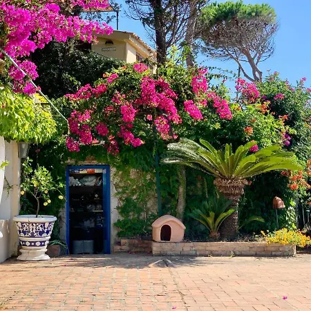 Casa Stromboli Capo Vaticano